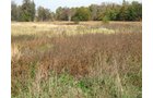 Property photo 15 - 212 Acres Offered in 6 Tracts - Selling Regardless of Price
